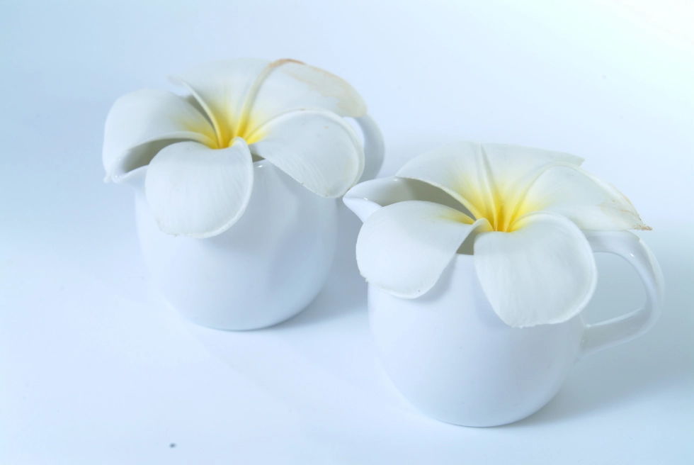 Divi pottery store
